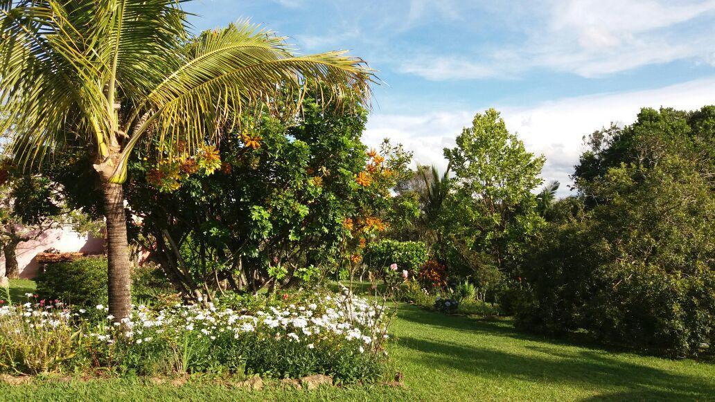 Pousada Sitio Da Serra คาร์รันกัส ภายนอก รูปภาพ