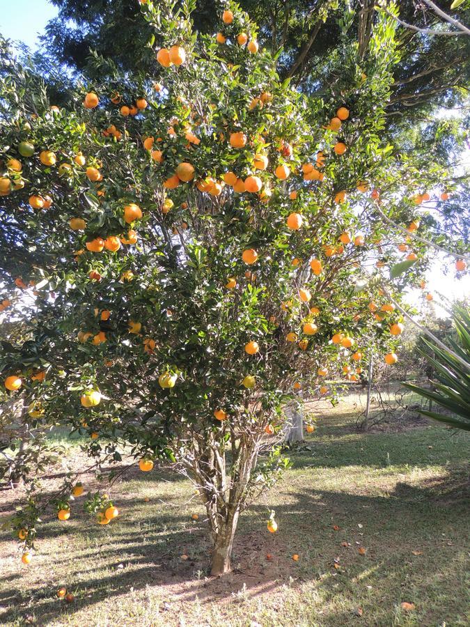 Pousada Sitio Da Serra คาร์รันกัส ภายนอก รูปภาพ